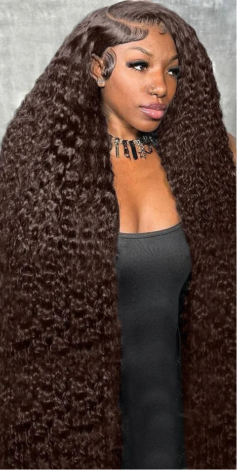 Long Curly Lace Front Wig – 26+ Inches, Hair, French Lace, Permable, Customizable Color