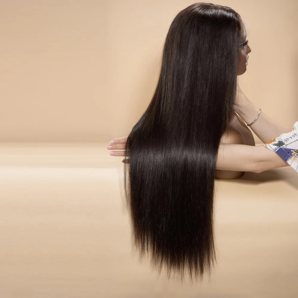 Straight Lace Closure Wig 4x4/5x5/6x6 HD Lace Closure Wig Pre-plucked Straight Human Hair Wig