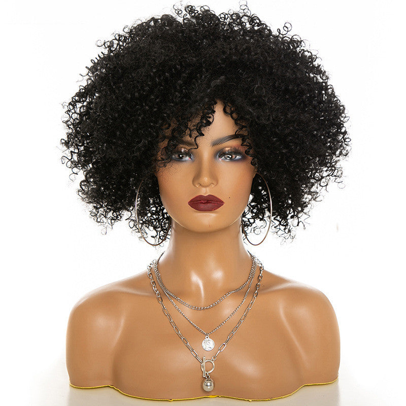 Natural Afro Kinky Curly Wig for Women – Realistic & Stylish