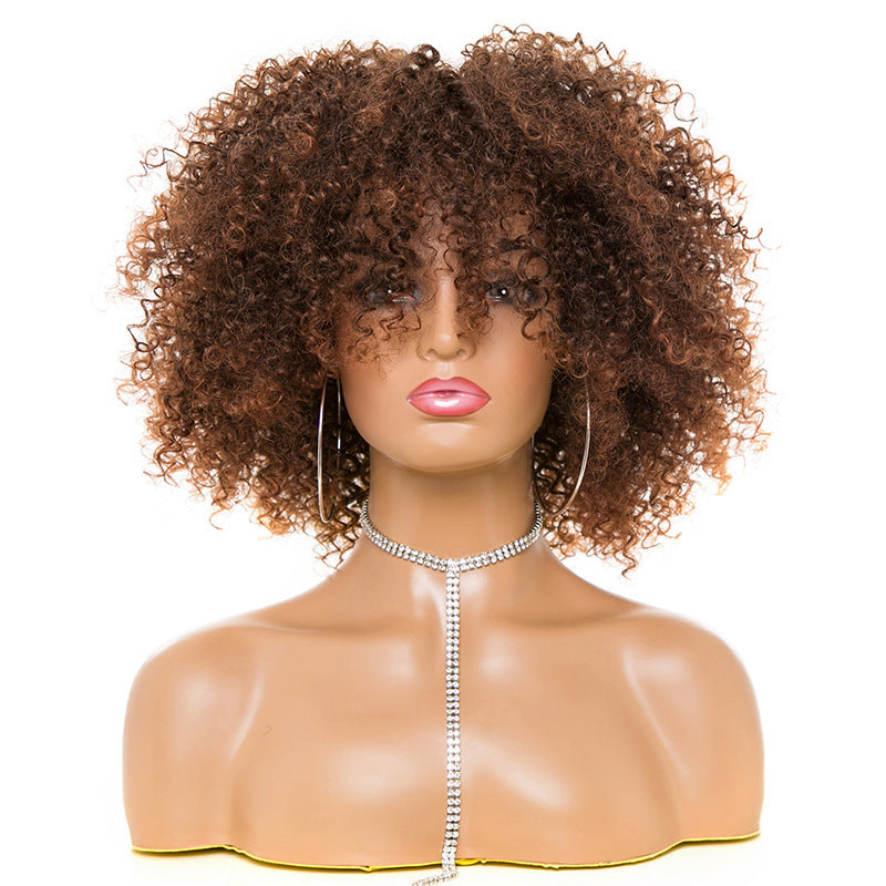 Natural Afro Kinky Curly Wig for Women – Realistic & Stylish