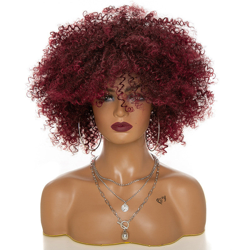 Natural Afro Kinky Curly Wig for Women – Realistic & Stylish