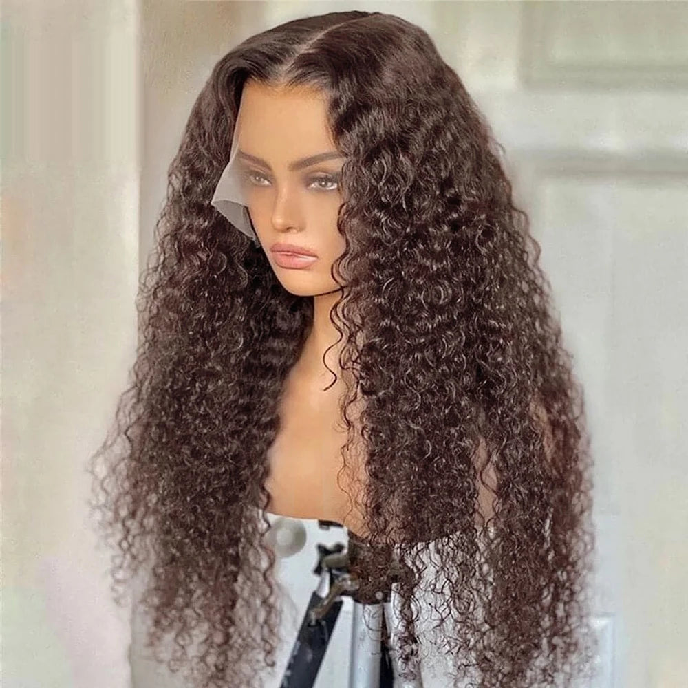 Kinky Curly Synthetic Lace Wig – Light Brown T-Part Glueless Wig with Pre-Plucked Hairline, Affordable & Natural Look