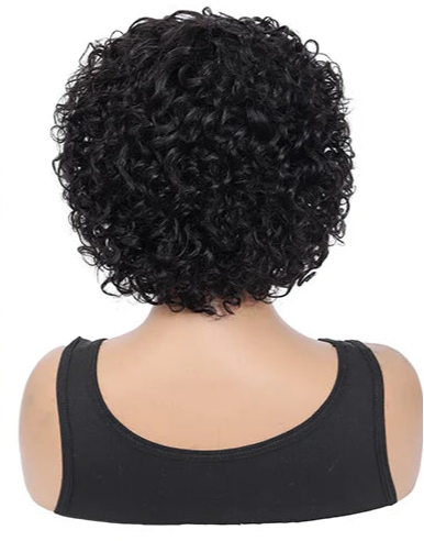 Curly Hair Wig – Short Length, 100% Human Hair, Natural Look & Easy Maintenance (4-16 Inches)