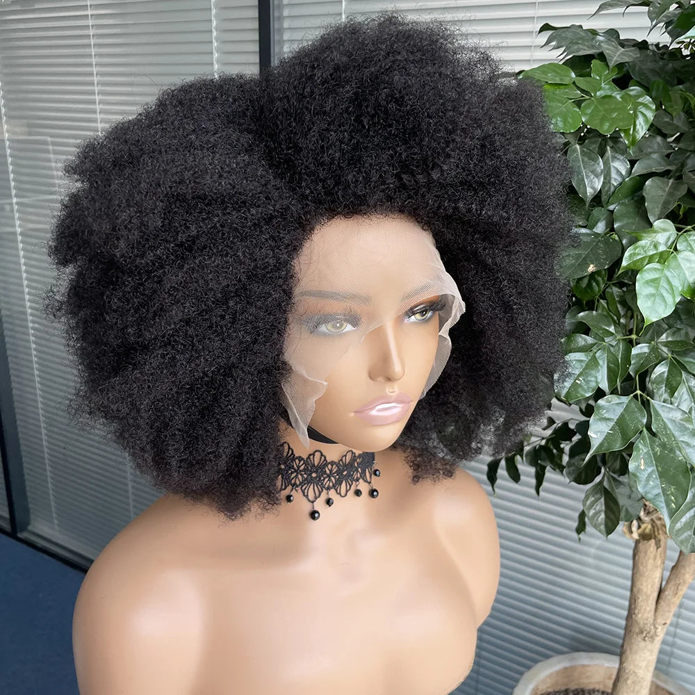 Kinky Curly Human Hair Lace Wig – Transparent Swiss Lace, Natural Texture, Average Size