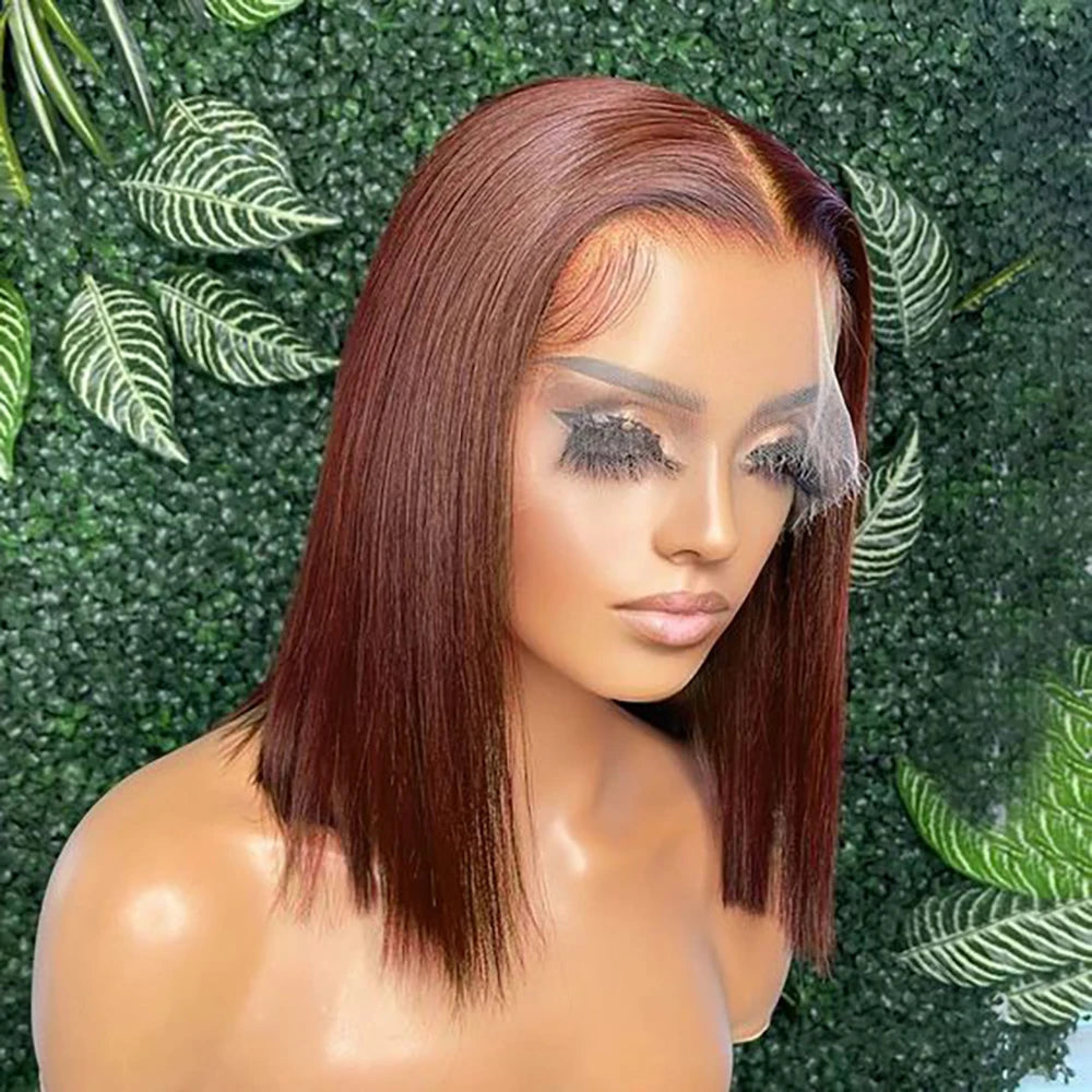 Transparent 13x4 Frontal Wig – Straight Hair, Premium Swiss Lace