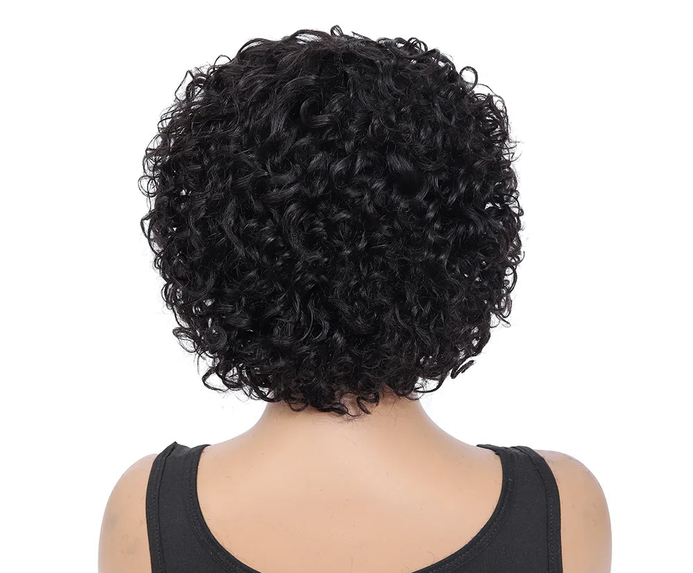 Curly Hair Wig – Short Length, 100% Human Hair, Natural Look & Easy Maintenance (4-16 Inches)