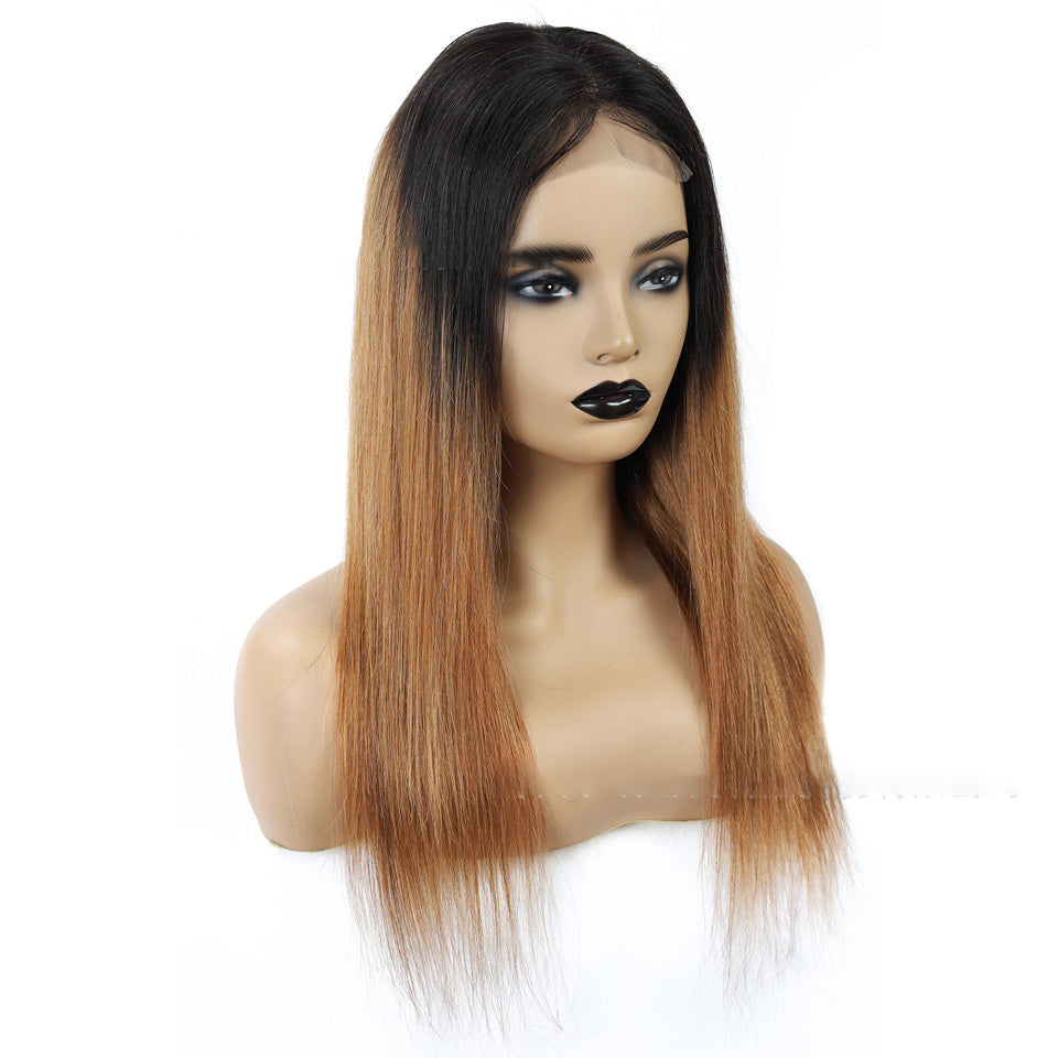 Sleek Malaysian Straight Lace Wig | Gradient Shades Available in Multiple Lengths