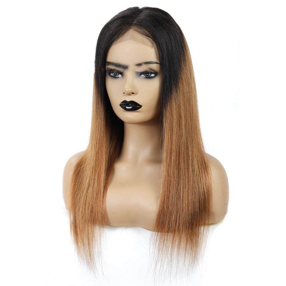 Sleek Malaysian Straight Lace Wig | Gradient Shades Available in Multiple Lengths