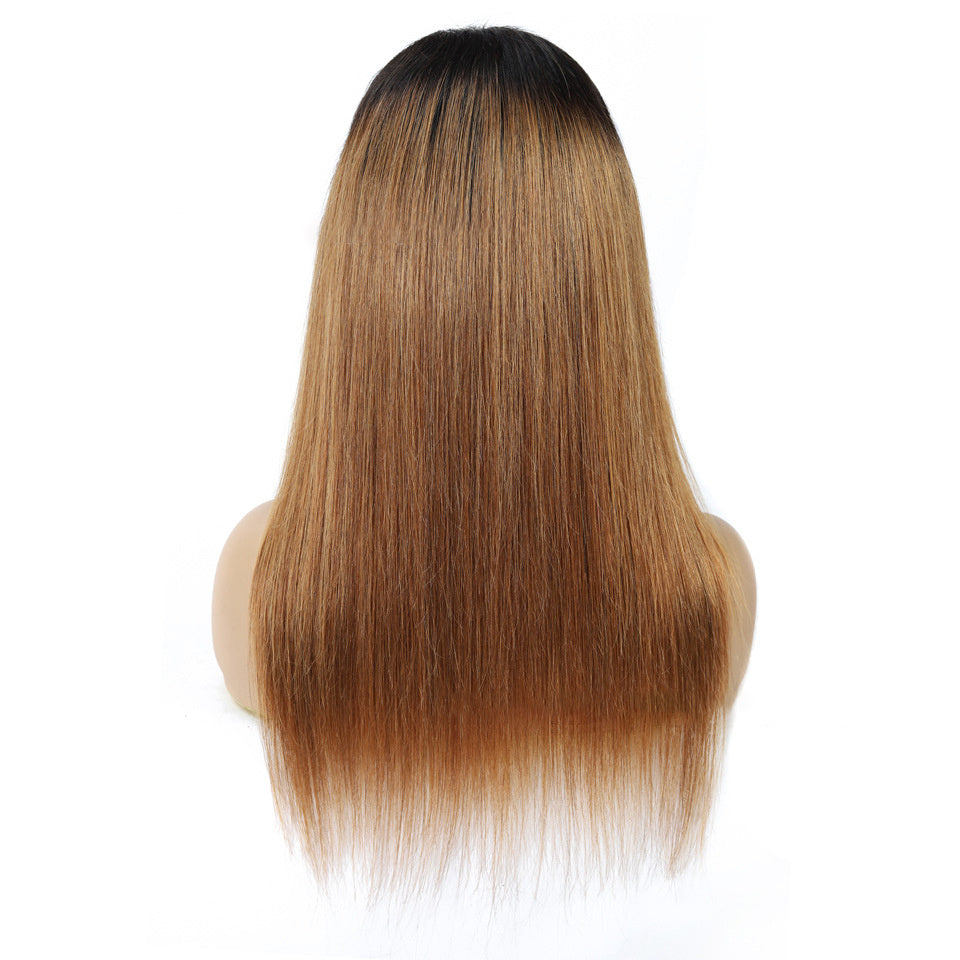 Sleek Malaysian Straight Lace Wig | Gradient Shades Available in Multiple Lengths