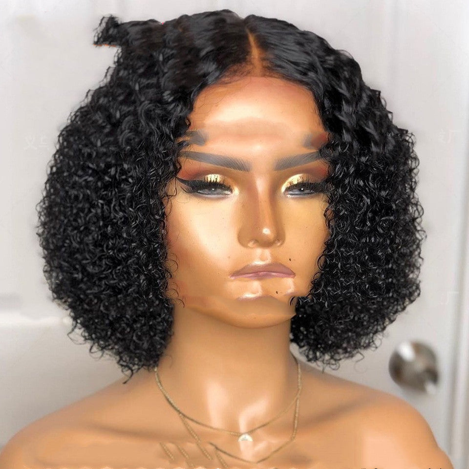 Stylish Ladies Front Lace Synthetic Short Curly Wig - LS-290, Perfect for Any Skin Tone & Face Shape