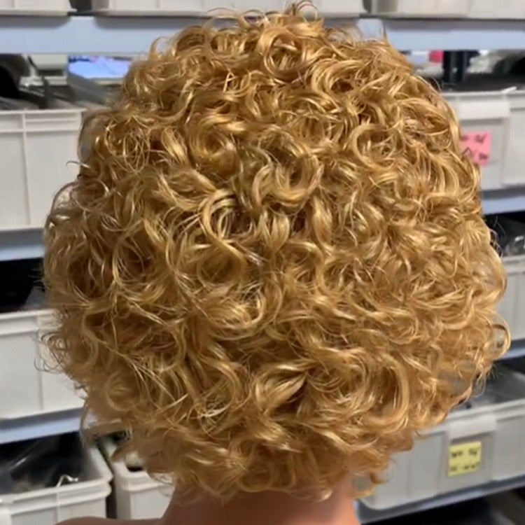 Chic Ombre Curly Pixie Cut Lace Front Wig - 8 Inch Brazilian Hair
