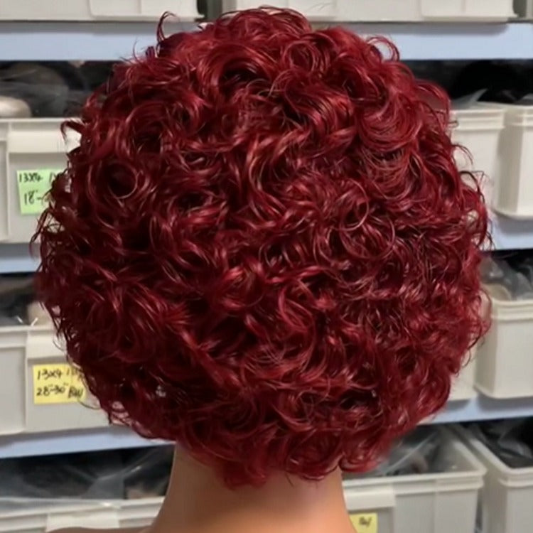 Chic Ombre Curly Pixie Cut Lace Front Wig - 8 Inch Brazilian Hair