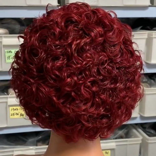 Chic Ombre Curly Pixie Cut Lace Front Wig - 8 Inch Brazilian Hair
