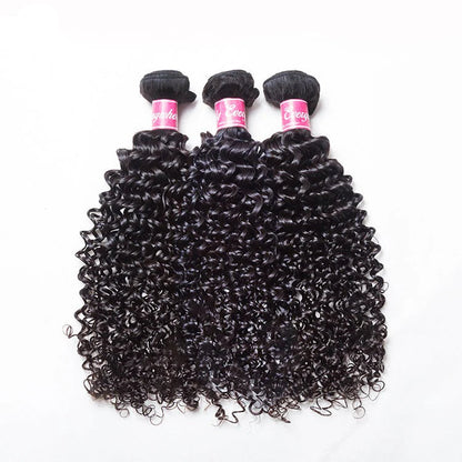 Hair Curly Hair 100% Human Hair 3 Bundles With 4x4 Lace Closure