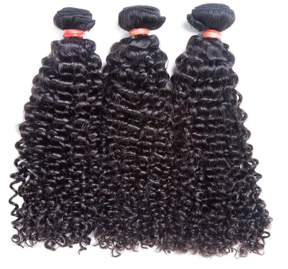 Hair 9A/10A12A Curly Bundles with 5x5 Closure Virgin Human Hair 3 Bundles with Closure