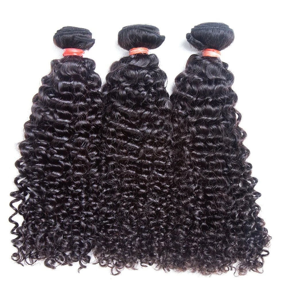 Hair Curly Hair 100% Human Hair 3 Bundles With 4x4 Lace Closure