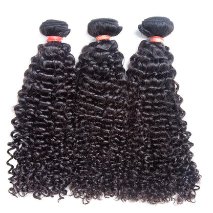 Hair Curly Hair 100% Human Hair 3 Bundles With 4x4 Lace Closure