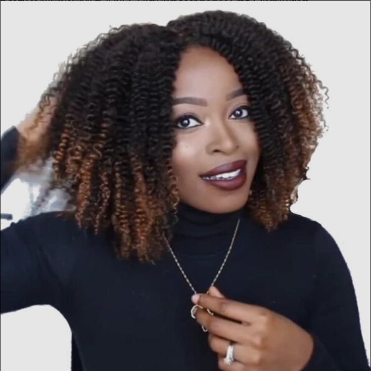Chic Black Brown Small Curly Short Wig | Fashionable Synthetic African Style