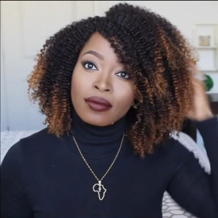 Chic Black Brown Small Curly Short Wig | Fashionable Synthetic African Style