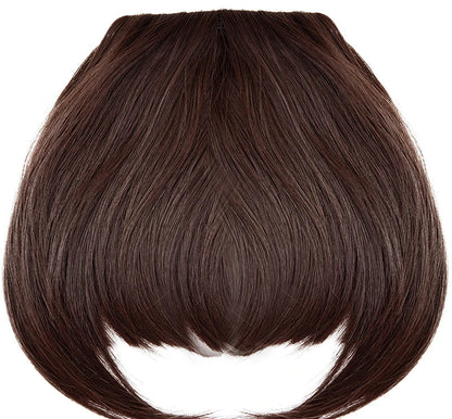 Kanekalon Clip-In Blunt Bangs Hair Extension – Frosted Color, Easy Fit & Washable