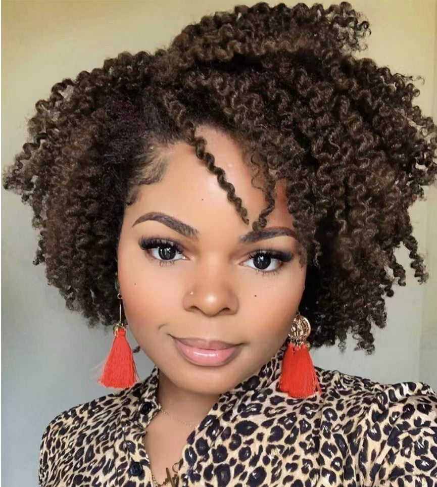 Women’s Short Curly Synthetic Wig – Fashionable, Exotic Style, Human Hair, Available in Black, Wine Red, and Brown
