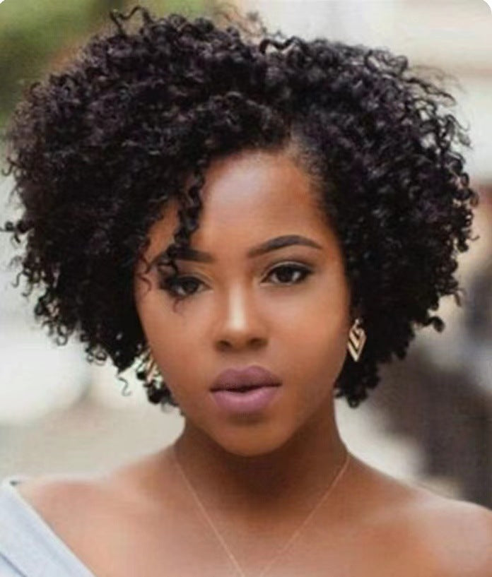Women’s Short Curly Synthetic Wig – Fashionable, Exotic Style, Human Hair, Available in Black, Wine Red, and Brown