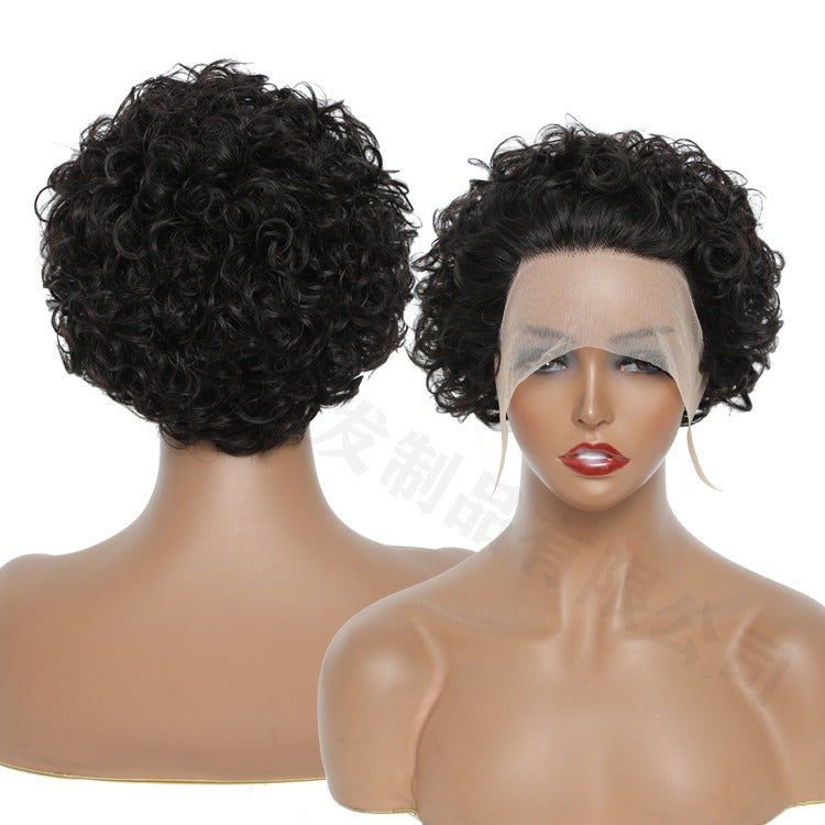 Chic Ombre Curly Pixie Cut Lace Front Wig - 8 Inch Brazilian Hair