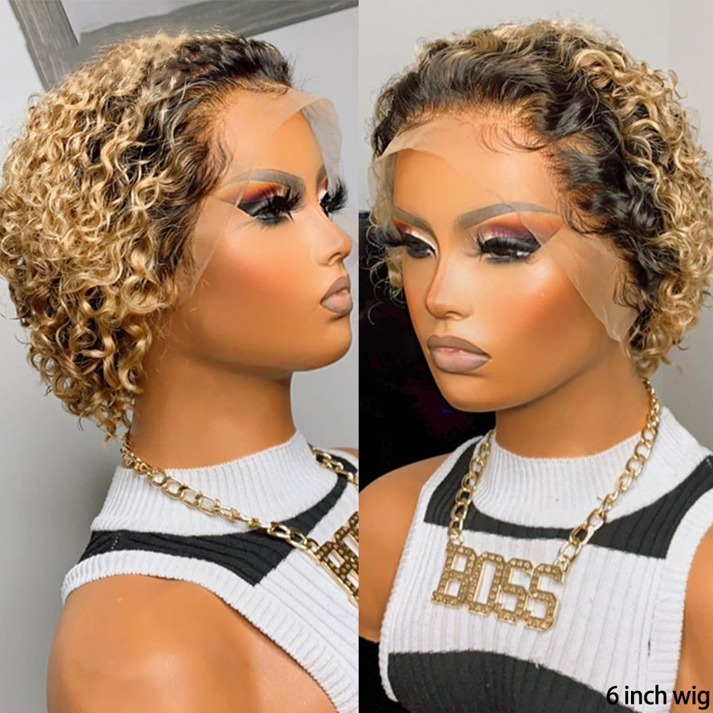 Chic Ombre Curly Pixie Cut Lace Front Wig - 8 Inch Brazilian Hair
