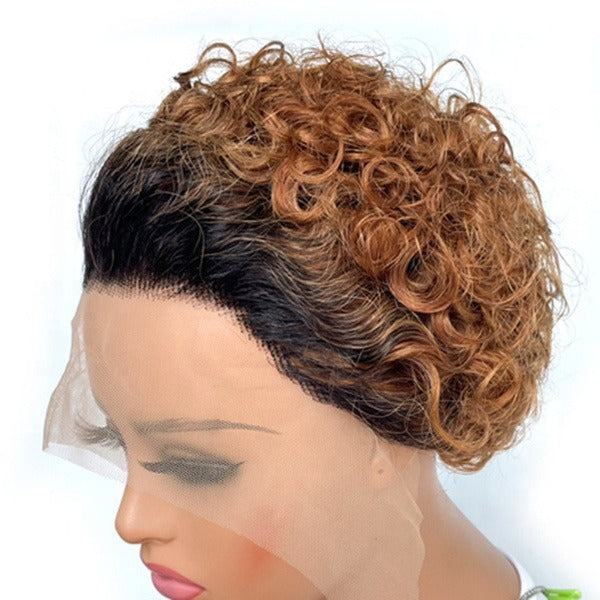 Chic Ombre Curly Pixie Cut Lace Front Wig - 8 Inch Brazilian Hair